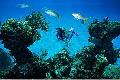 新游《来自深渊：朝向黑暗的双星》系统情报透露