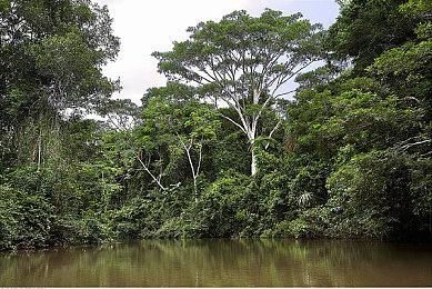 复古益智游戏合集《Last Call BBS》结束抢先体验 正式发售